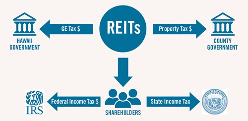 How REITs are taxes infographic